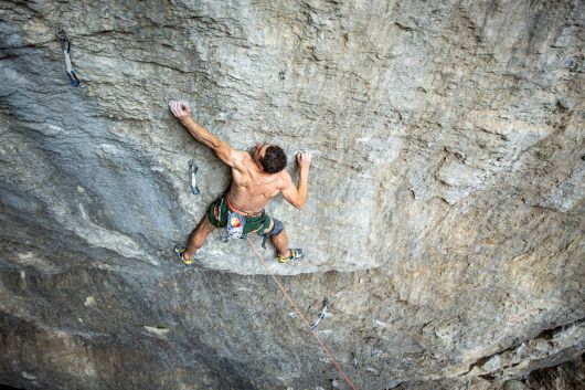 Arnés Ophir Hombre ➤ The Climb